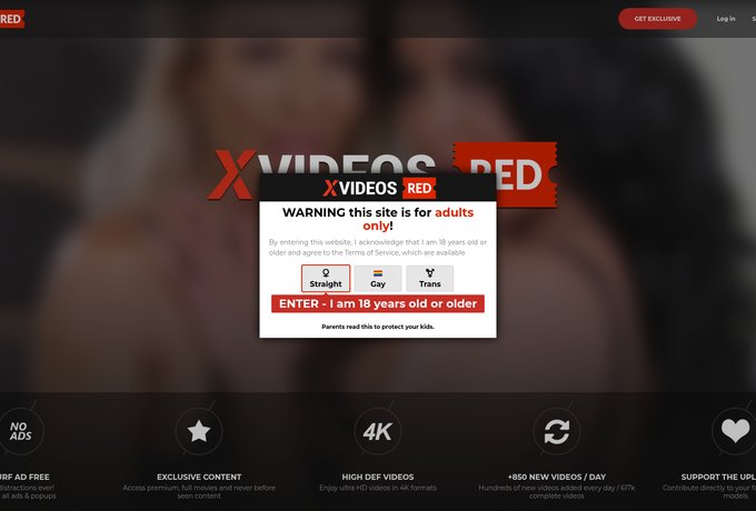 XVideos Red Trans